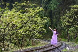 风景哥爆料视频大全,揭秘幕后精彩瞬间