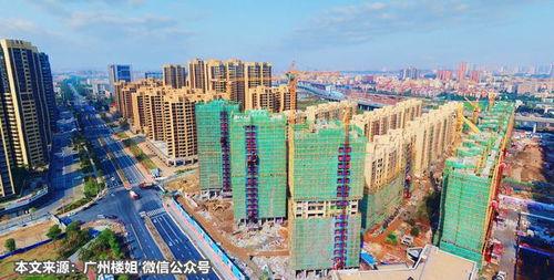 爆料佛山楼盘信息最新,揭秘热门项目最新资讯与价格走势